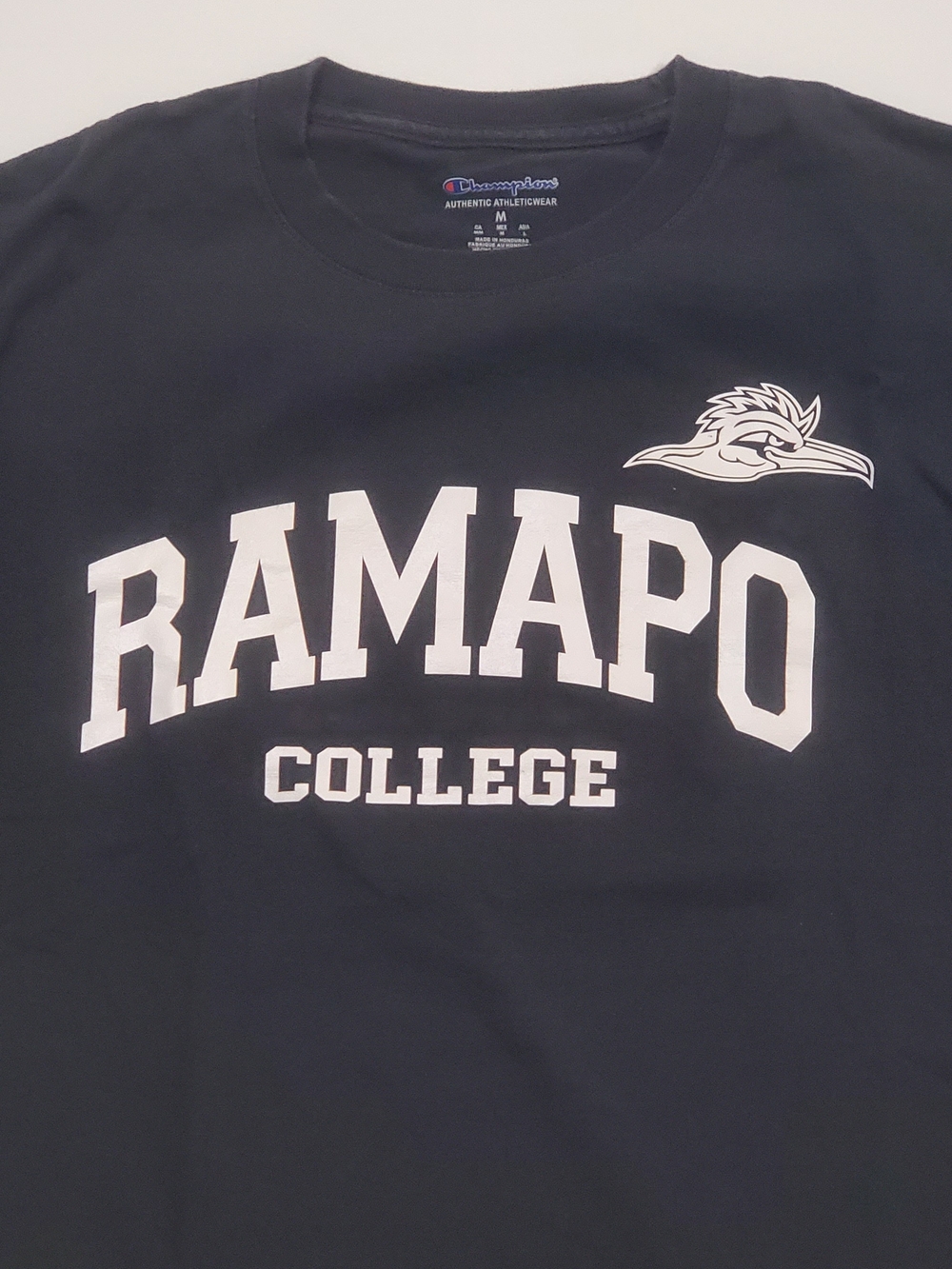 Champion Ramapo College Men's Black Graphic T-Shirt
